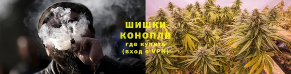 хмурый Белокуриха