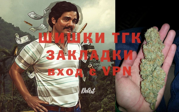 хмурый Белокуриха