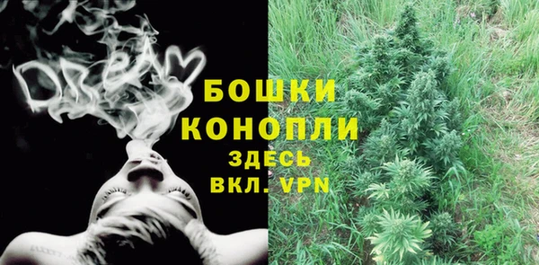 мяу мяу мука Беломорск