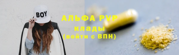 хмурый Белокуриха