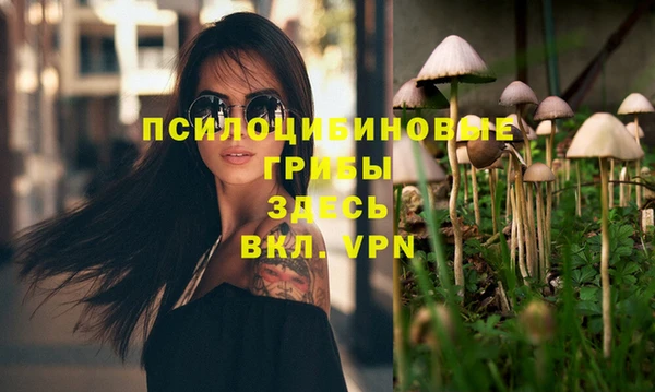 хмурый Белокуриха