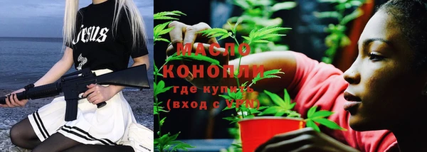 дурь Няндома