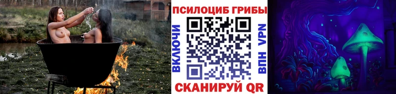 закладки  Дальнегорск  hydra ТОР  Псилоцибиновые грибы GOLDEN TEACHER 