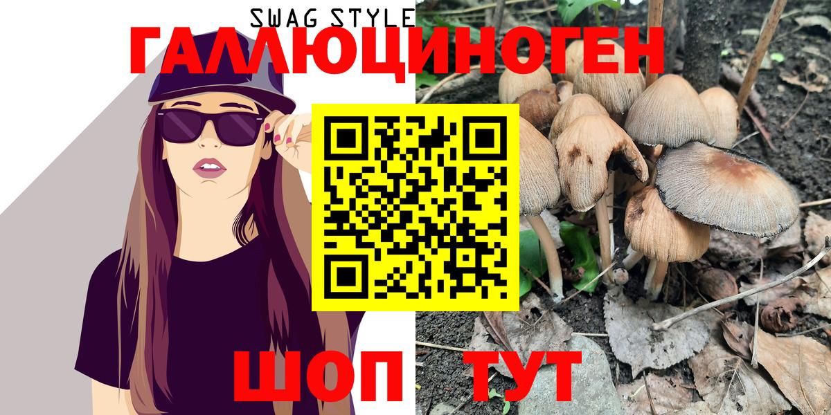 Галлюциногенные грибы GOLDEN TEACHER  Дальнегорск  магазин    Галлюциногенные грибы GOLDEN TEACHER 